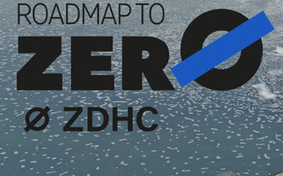 Zdhc Southern Europe Regional Conference – 4 novembre 2021